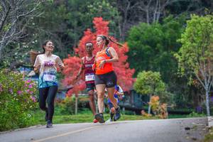 BIB: 3173
                            <button type="button" onclick="openModal(19238969)" class="btn btn-primary btn-sm float-right btn-popup" data-toggle="modal" data-target=".modal-high-quality">
                        <i class="fas fa-shopping-cart"></i> Add to Cart
                    </button>
                                            <button type="button" onclick="isThisMe(19238969, true)" class="btn btn-success btn-sm float-right btn-popup btn-isme hidden" data-toggle="tooltip" data-placement="bottom" title="นี่คือรูปของคุณใช่ไหม คลิกที่นี่เพื่อเอาเข้าอัลบั้ม">
                        <i class="fas fa-plus"></i> Add to album
                    </button>
                    <button type="button" onclick="isThisMe(19238969, false)" class="btn btn-warning btn-sm float-right btn-popup btn-isnotme hidden">
                        <i class="fas fa-ban"></i> Remove from album
                    </button>